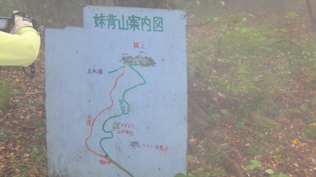 DSC07239.jpg