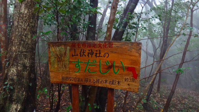 DSC07257.jpg