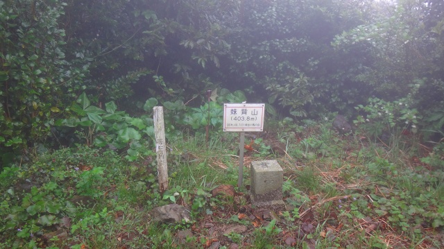 DSC07258.jpg