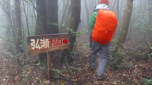 DSC07260.jpg