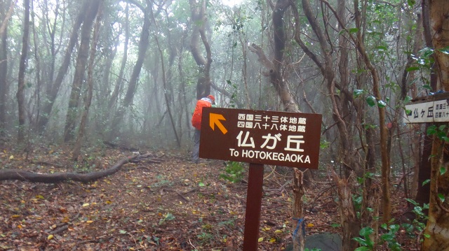 DSC07261.jpg