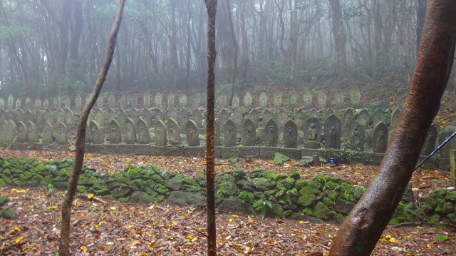 DSC07264.jpg