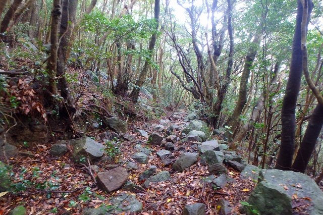 P4050823.jpg