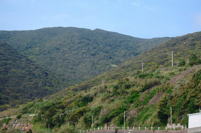 P4050834.jpg