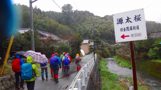 DSC07289.jpg