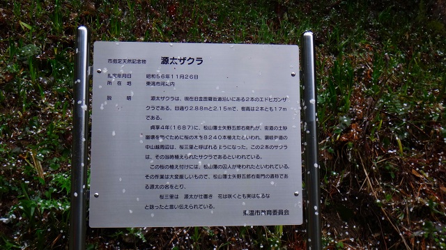 DSC07303.jpg