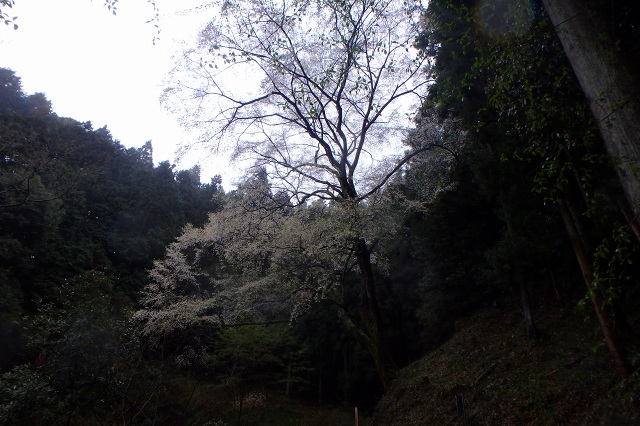 P4070875.jpg