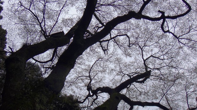 DSC07309.jpg