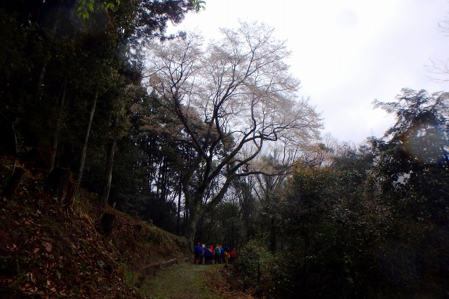 P4070878.jpg