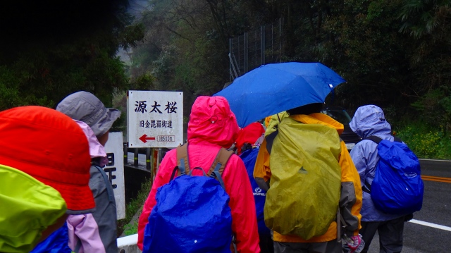 DSC07332.jpg