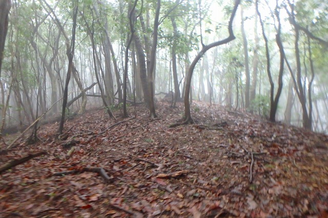 P4070898.jpg