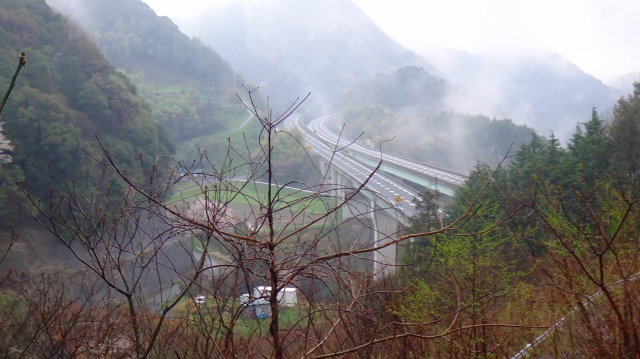 DSC07355.jpg
