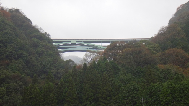DSC07357.jpg