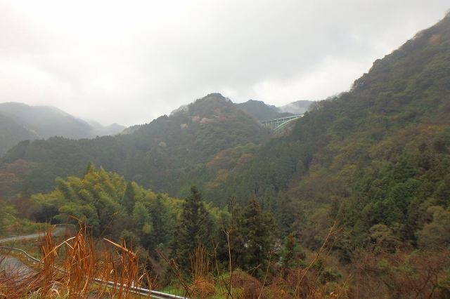 P4070922.jpg