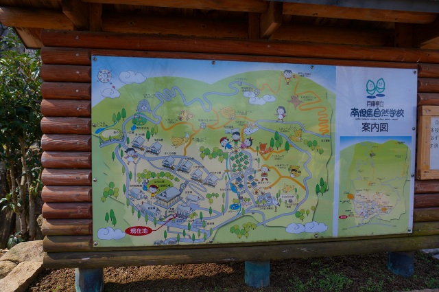 DSC04869.jpg
