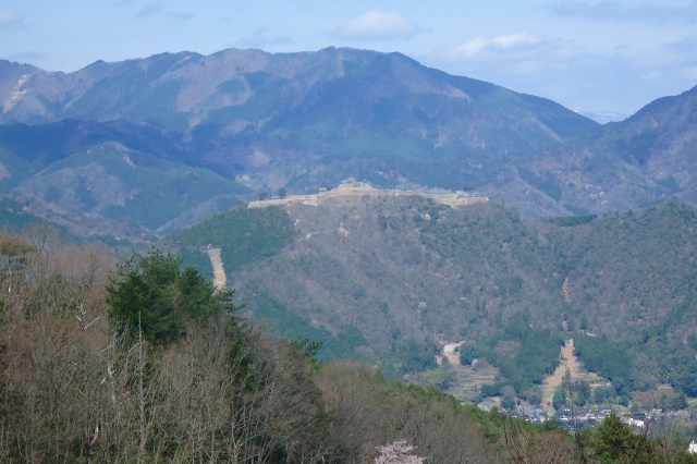 P4090925.jpg