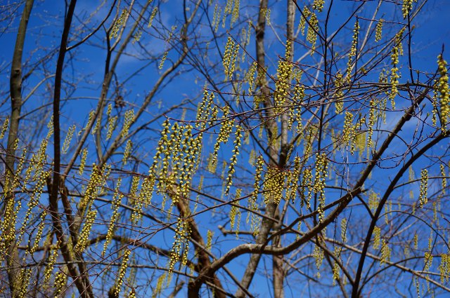 DSC04876.jpg