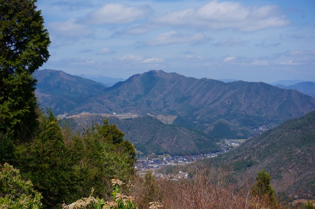 DSC04881.jpg