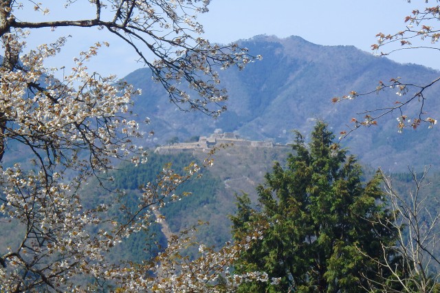 P4090972.jpg