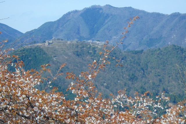 P4090984.jpg