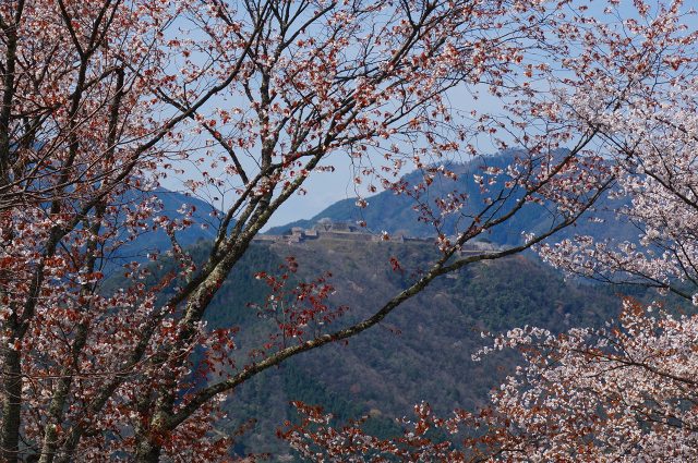 DSC04902.jpg