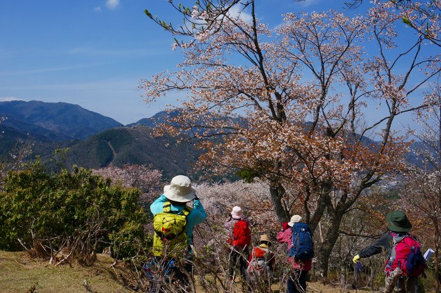 DSC04911.jpg