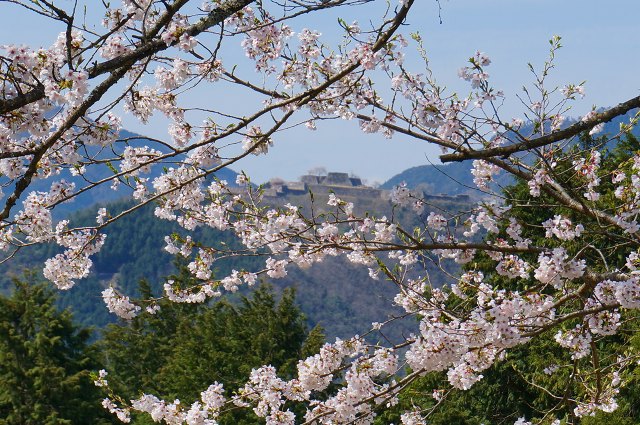 DSC04925.jpg
