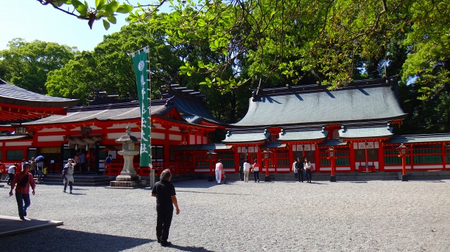 DSC08004.jpg