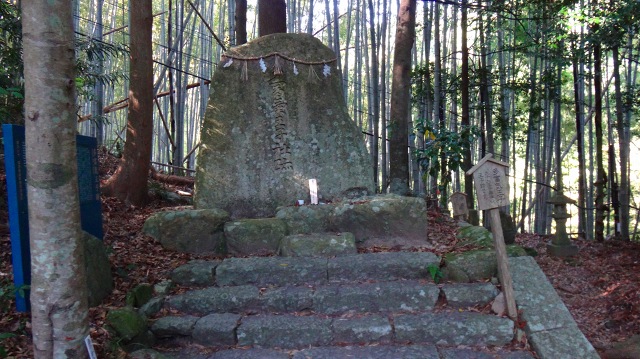 DSC08025.jpg