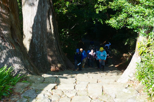 DSC05092.jpg