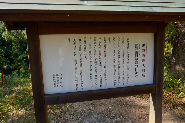 DSC05095.jpg