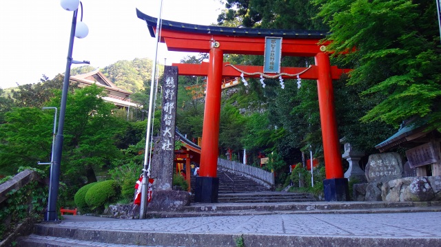 DSC08040.jpg