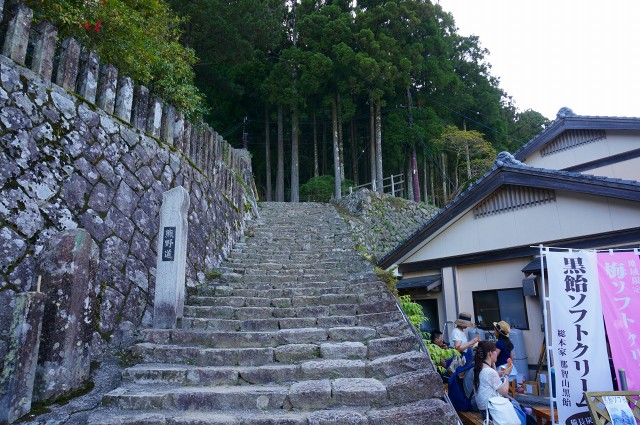 DSC05114.jpg