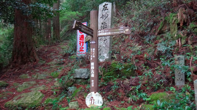 DSC08074.jpg