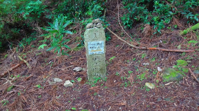 DSC08075.jpg
