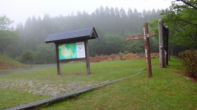 DSC08078.jpg