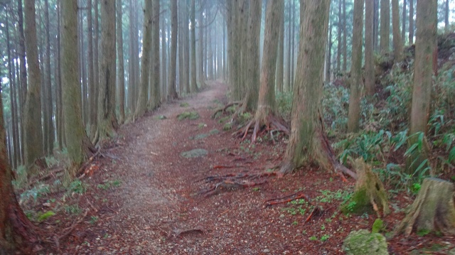 DSC08097.jpg