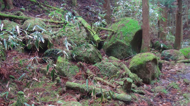 DSC08119.jpg