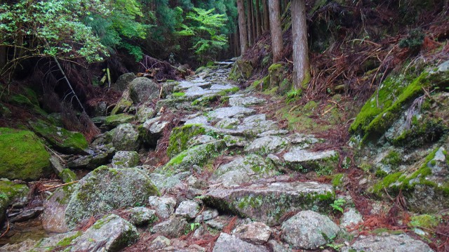 DSC08142.jpg