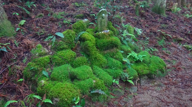 DSC08158.jpg