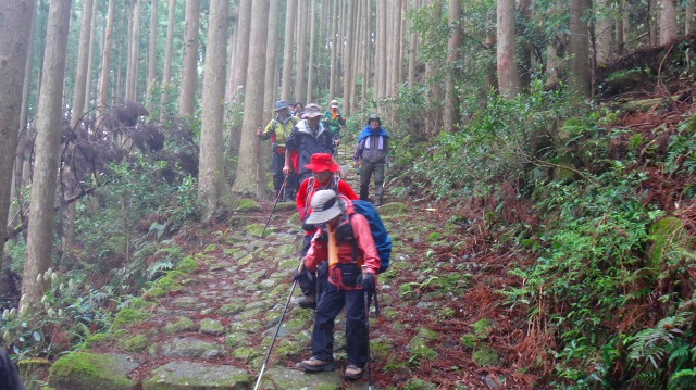 DSC08160.jpg
