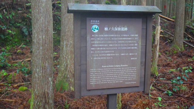 DSC08161.jpg