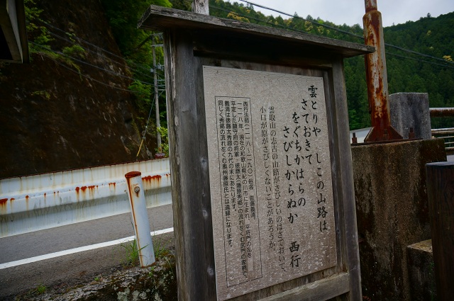 DSC05165.jpg
