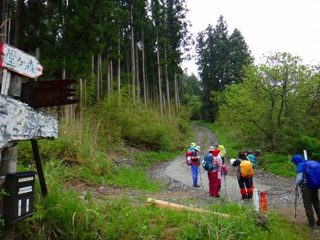 DSC02493.jpg