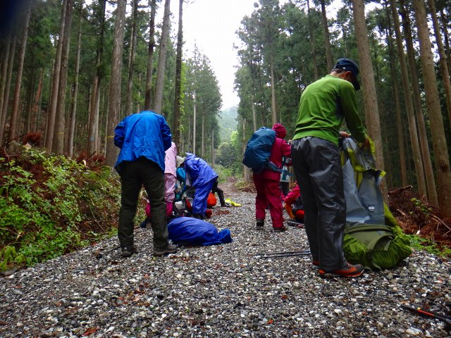 DSC02494.jpg