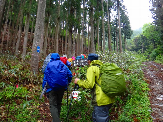 DSC02496.jpg