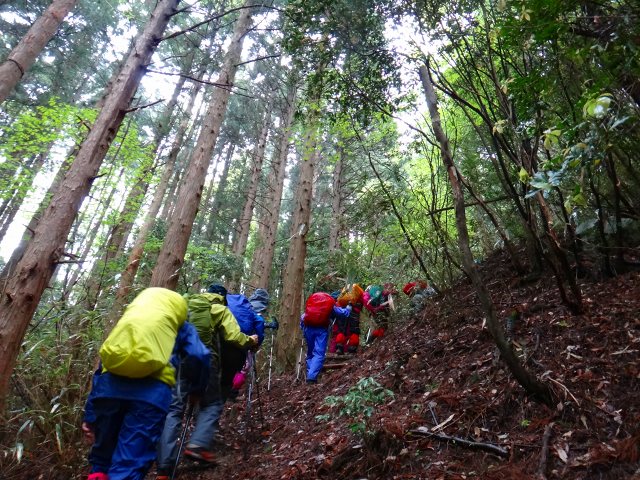 DSC02499.jpg
