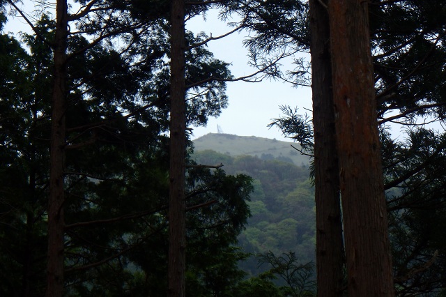 P5090692.jpg