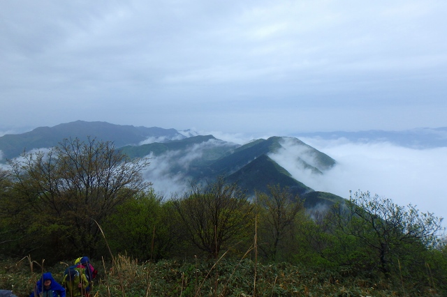 P5090697.jpg