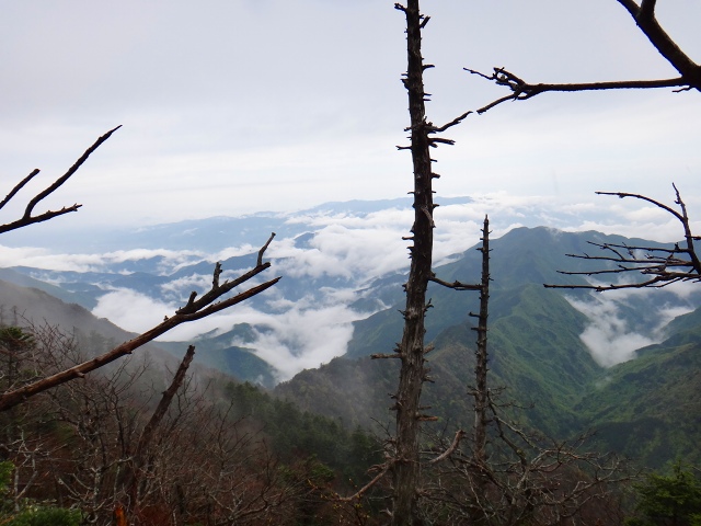 DSC02531.jpg